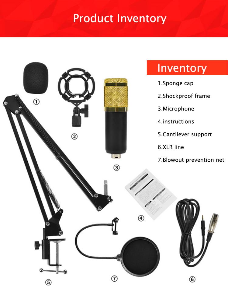 Kit Microphone Professionnel